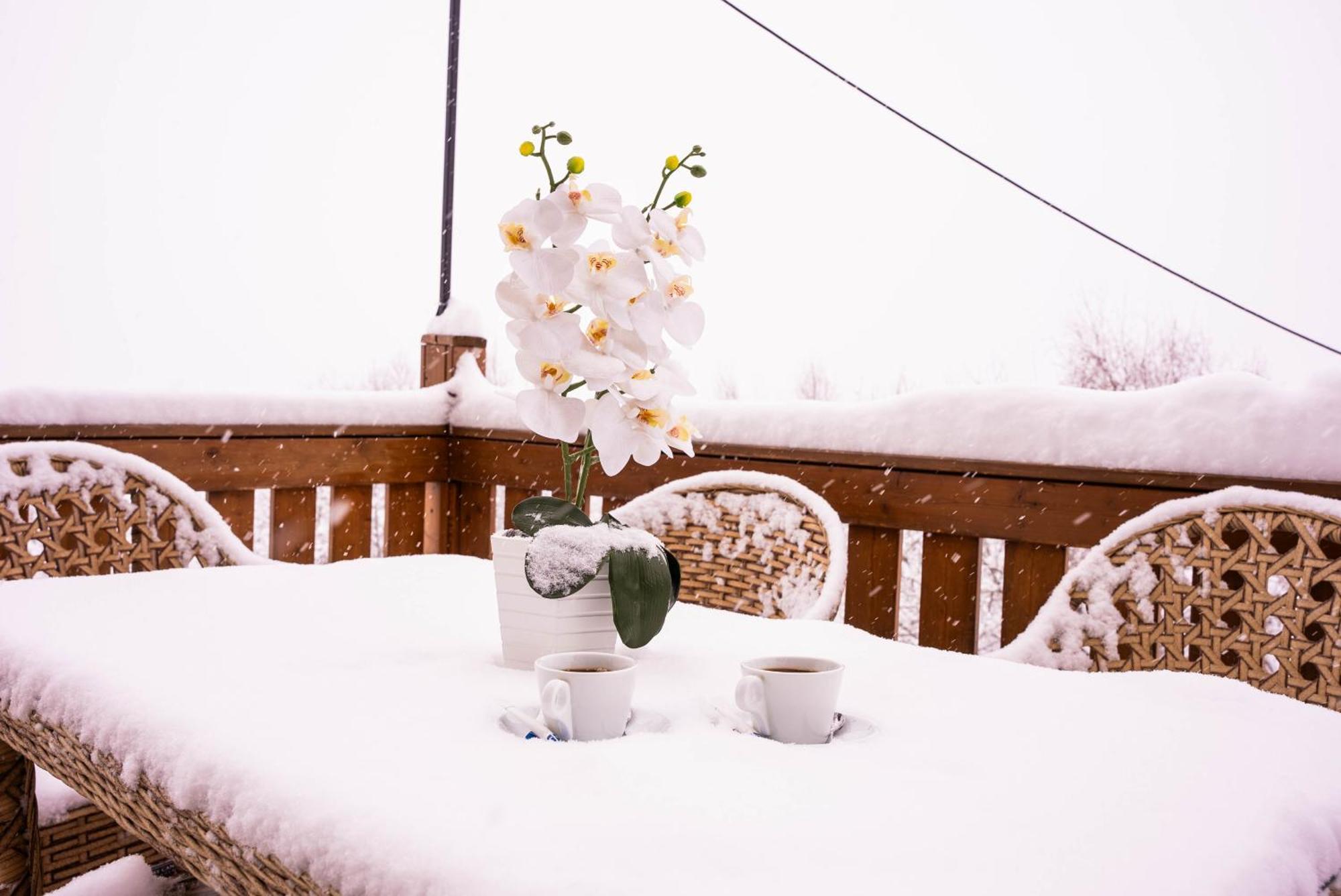 Gudauri Inn Esterno foto Snow in Jerusalem